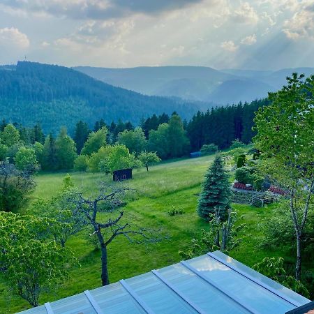 Ferienhaus Mit 5* Luxus Im Schwarzwald Gemeinde Gemeinde Aichhalden Esterno foto