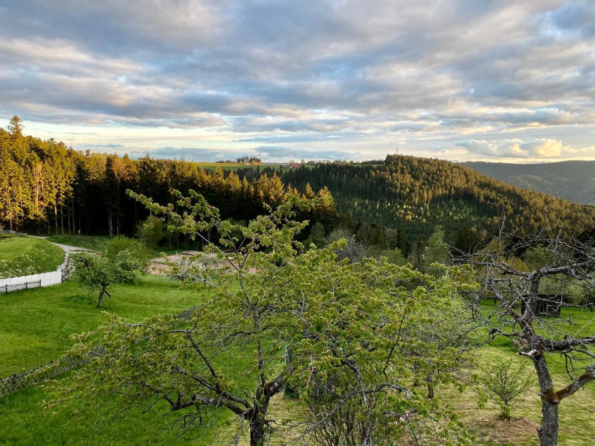 Ferienhaus Mit 5* Luxus Im Schwarzwald Gemeinde Gemeinde Aichhalden Esterno foto