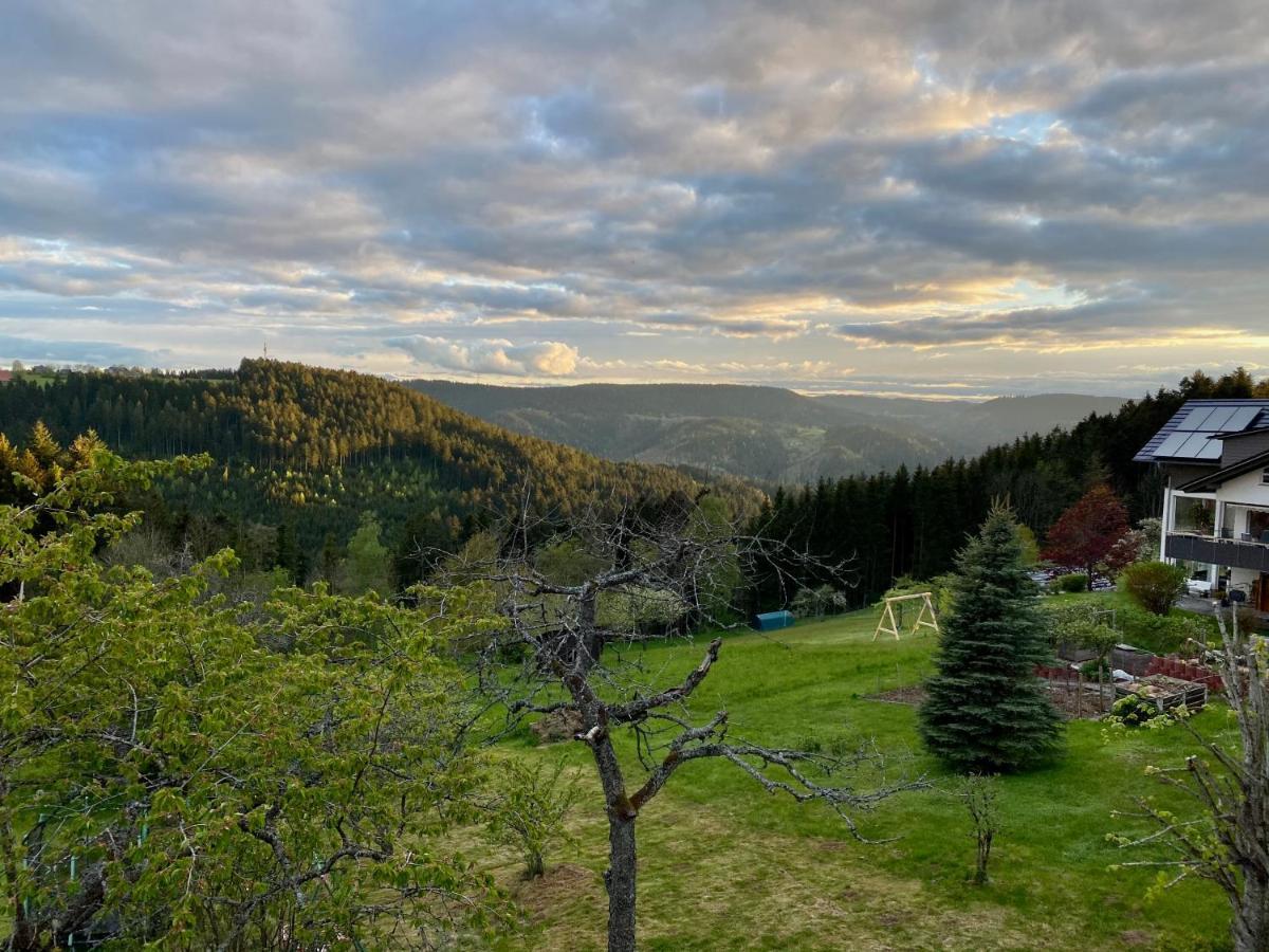 Ferienhaus Mit 5* Luxus Im Schwarzwald Gemeinde Gemeinde Aichhalden Esterno foto